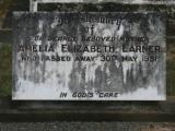 image of grave number 859312